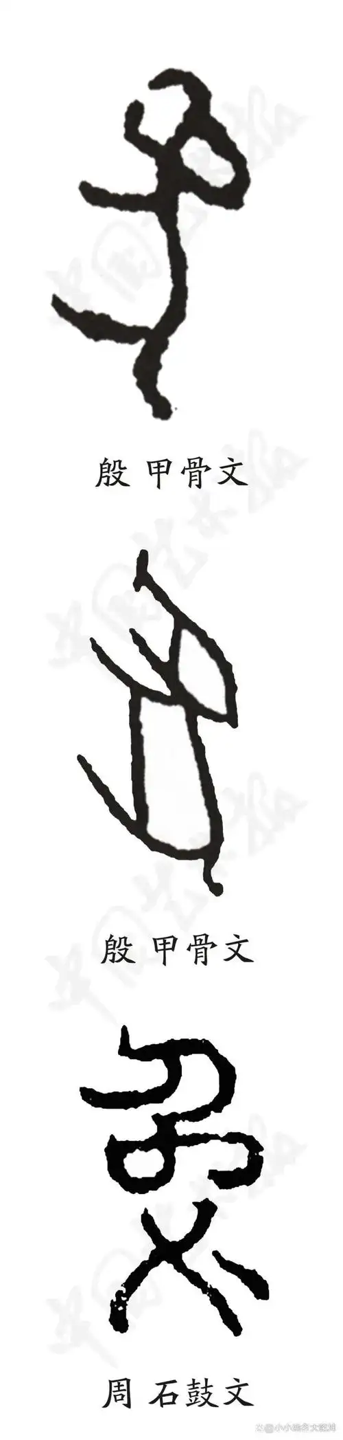 在殷商甲骨文中便有"兔"字的记载,"兔"是动物,兔的象形字.