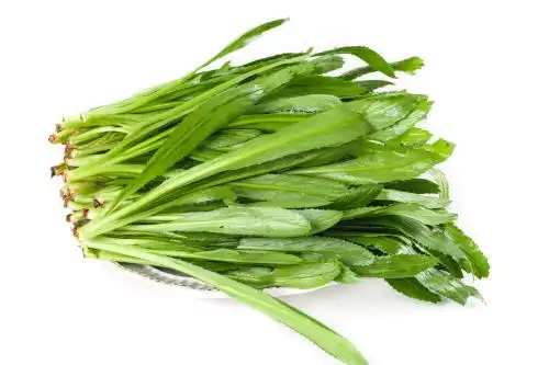 白底上的云南大香菜