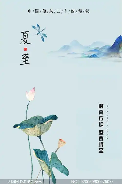 中国风简约风格夏至节气海报psd素材