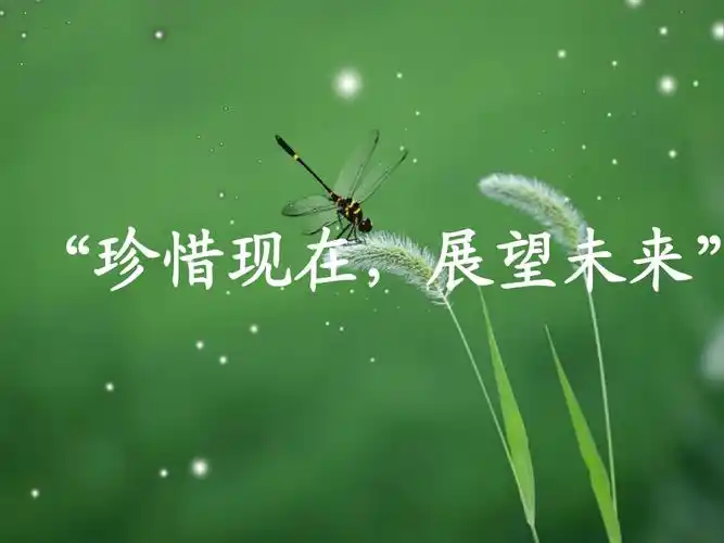 珍惜现在展望未来初一1