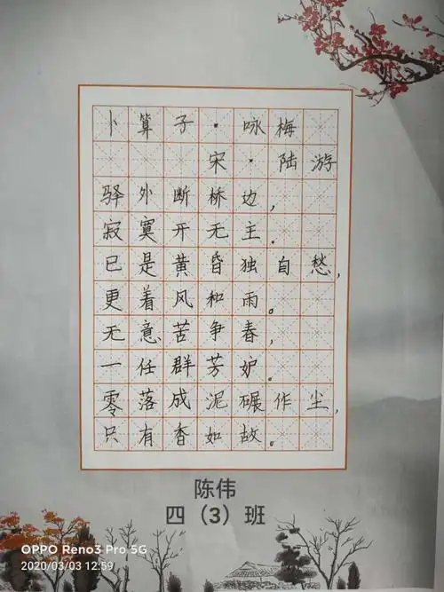 《卜算子·咏梅》优秀作业展示