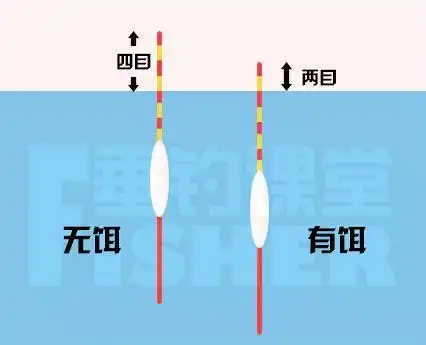 新手必学,鱼漂目数是啥?鱼漂怎么调?