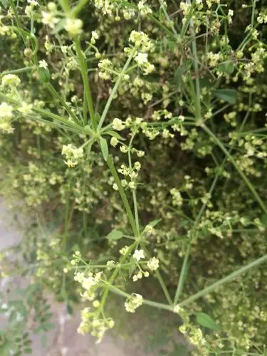 再见8月,你好9月!