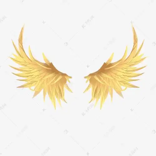 展开的金翅膀