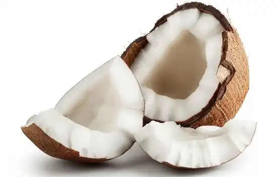 椰子肉