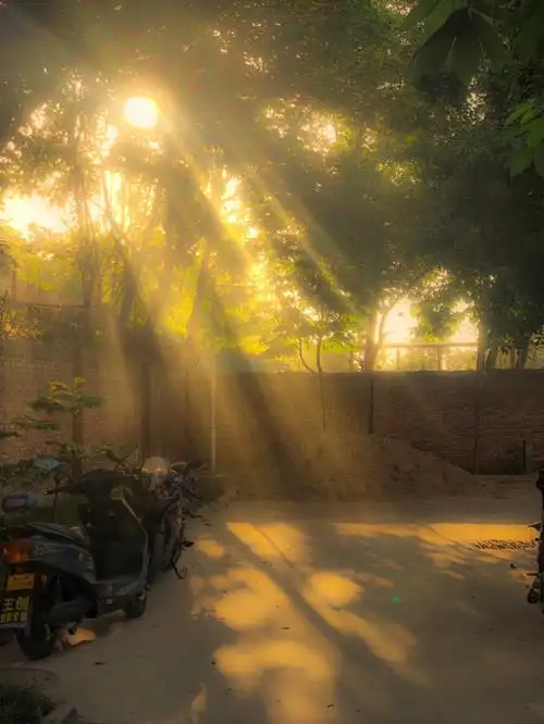 丁达尔光总有来处附原图