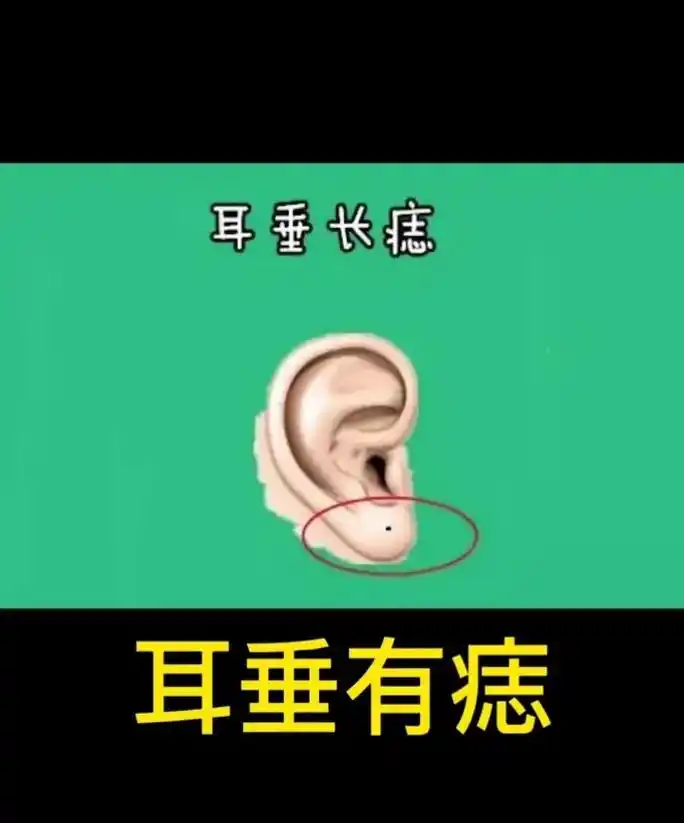 传统文化 #国学智慧 #图文伙伴计划  相不独论! 单耳垂 - 抖音