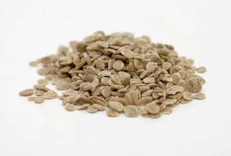 高端番茄种子,西红柿种子大全