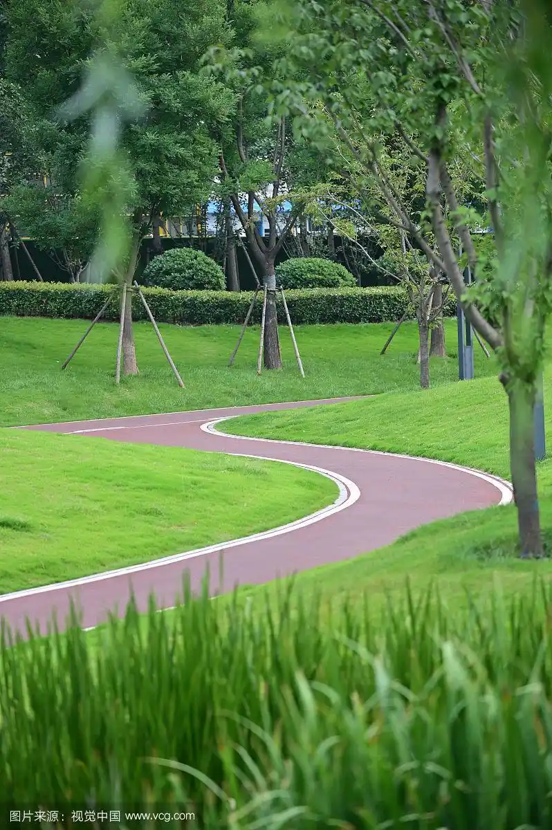 弯曲的公园道路