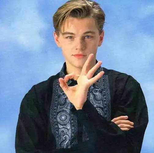 第十名:莱昂纳多,他是好莱坞当代最杰出的男演员之一.