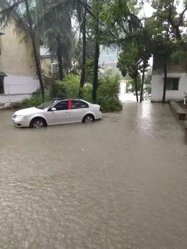 123毫米!暴雨过后的阜阳,是这样的