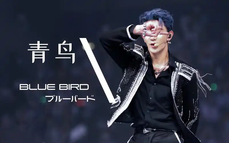 活动作品青鸟r1se夏之光52上海演唱会直拍focus