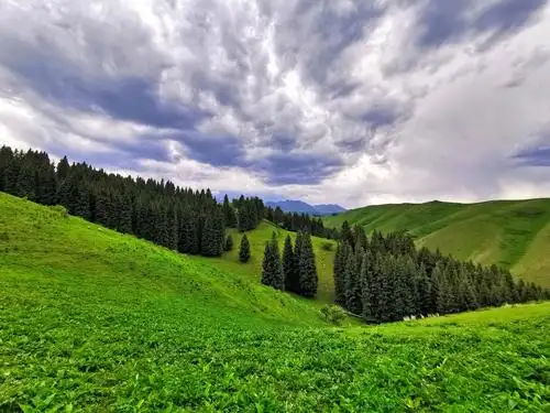 天高云淡,山峦连绵,好美好美的风景,白色毡房连着天地,白云飘浮姿人
