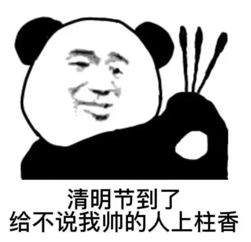 清明节快到了,给不说我帅的人上柱香#表情包 #熊猫头表情包 - 抖音