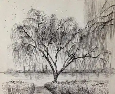 春天的景色素描简笔画