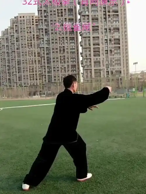 三十二式太极拳背向演示 每日一练