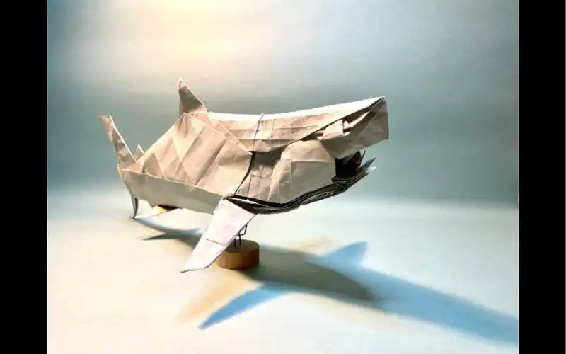 【折纸】今井幸太-大白鲨-70cm生态纸,cp有一些难度,但不大,应该用双