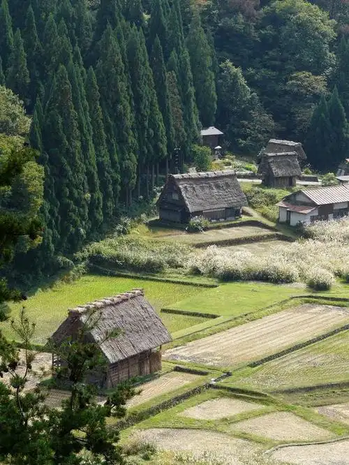 乡村美景,让人感到心灵上的愉悦和放松