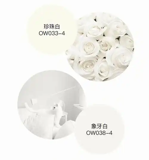 立邦干净颜色象牙白珍珠白