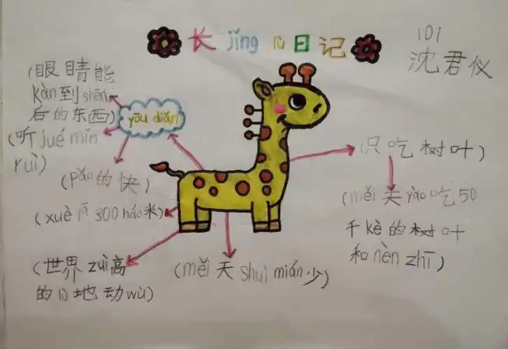 《我们会在地上跑》——长颈鹿日记