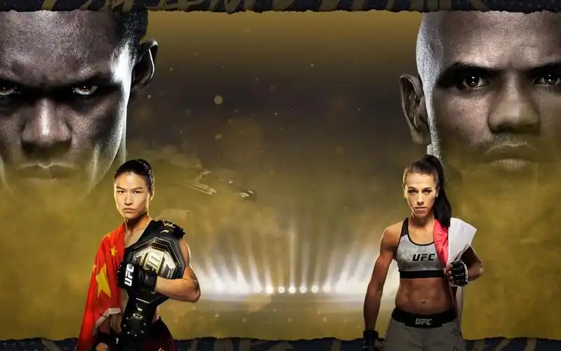 ufc冠军张伟丽幕后的hyperarch筋膜训练 - 如何训练整体核心力量 p1