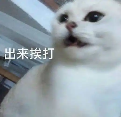 出来挨打猫咪表情包出来挨打猫咪表情