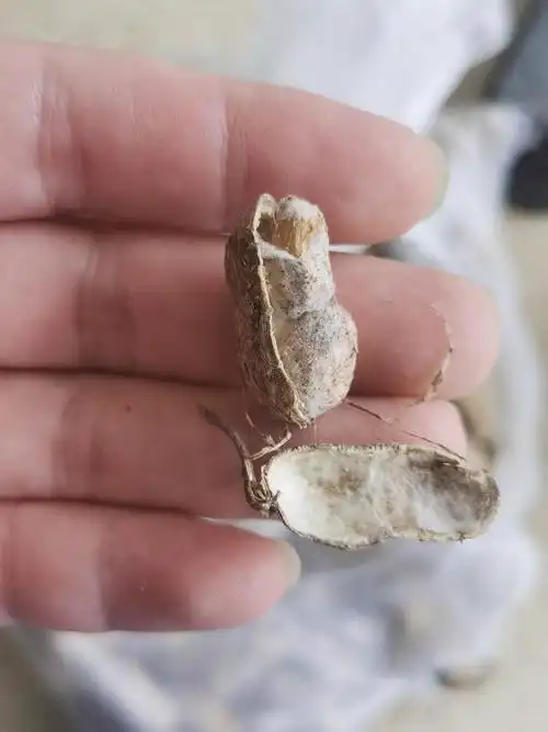 超市买到发霉花生只能退8元这种做法让人寒心