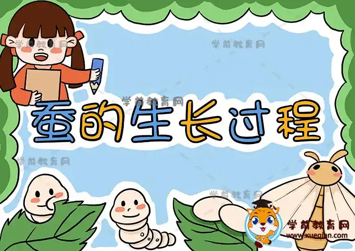 手把手教你画蚕的生长过程手抄报,蚕的生长过程手抄报教程图片模板 -