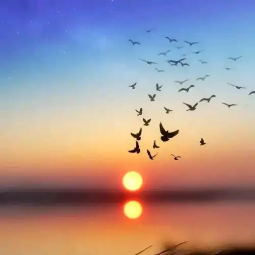 飞翔-谁的心在午夜漂泊- 全民k歌,ktv交友社区