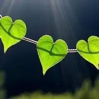 幸福的爱心世界,情侣头像图片-回车桌面