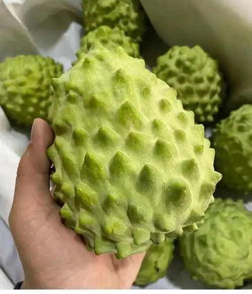 释迦果林檎果新鲜水果番468个装枝摩尼果佛头果刺果4个装精选装