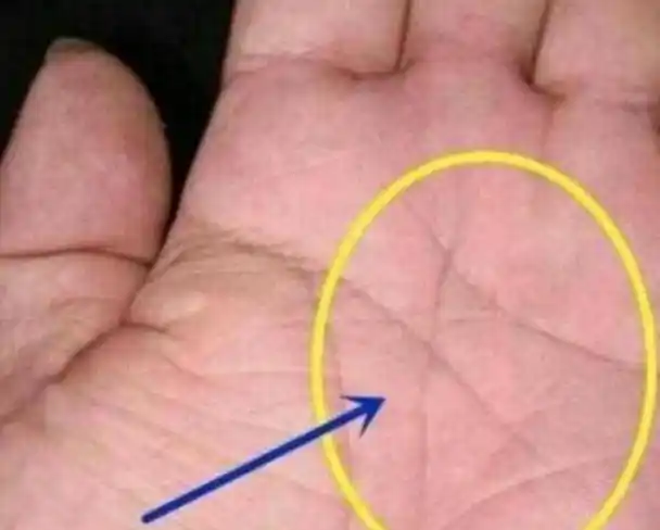手有"三角纹"的人,百年难得一遇,必定大富大贵不用愁