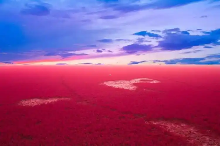 中国有片世界独一无二的红色海洋