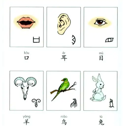 会意字,指事字,形声字,象形字分别都是什么意思?-农资百科网