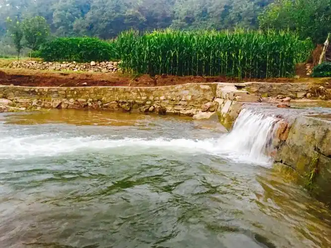 村前的小河流水潺潺.
