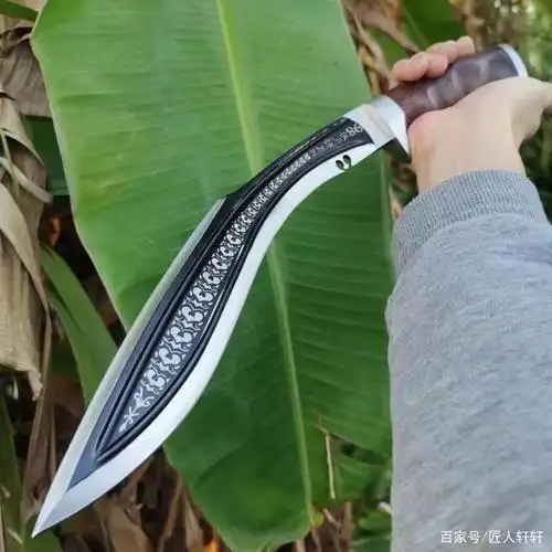 御用钦佩狗腿弯刀,鉴赏