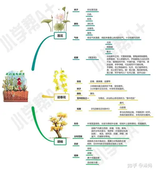 三年级下册第一单元习作我的植物朋友思维导图