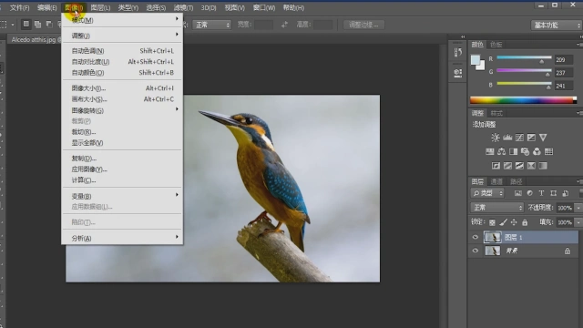 如何提取图片中的文字信息?