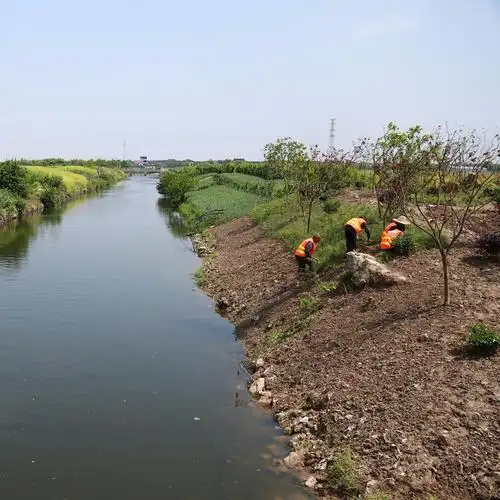 河岸上实施河道两岸生态护坡工程,新增沿河绿化近1万平方,新增生态