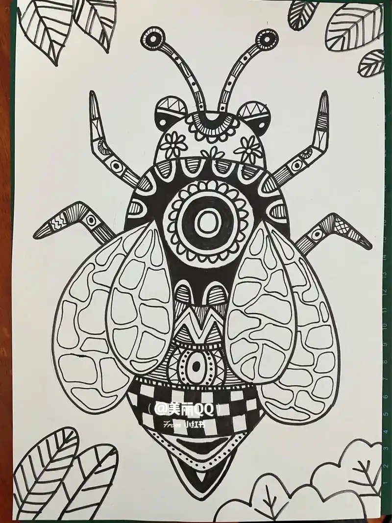 每日一画|知了 蝉 昆虫线描