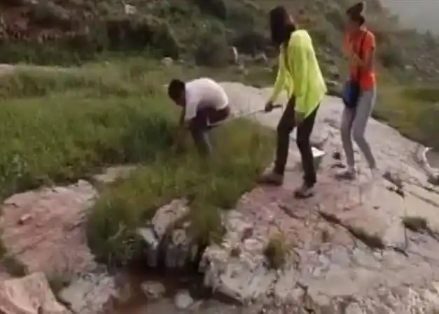 18年山西农村群蛇盘踞百条长蛇一夜自杀老鼠咬蛇成天敌