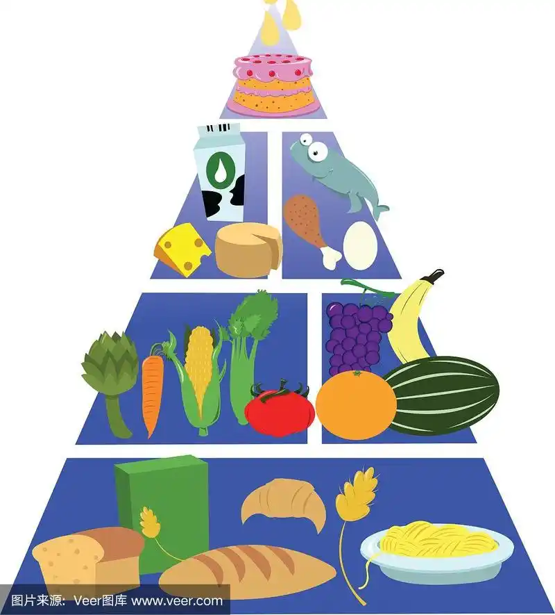 食物金字塔,饮食,健康食物,图像,矢量