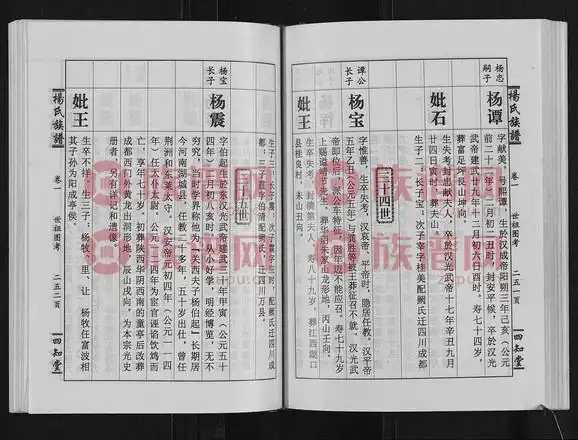 杨氏族谱112972004