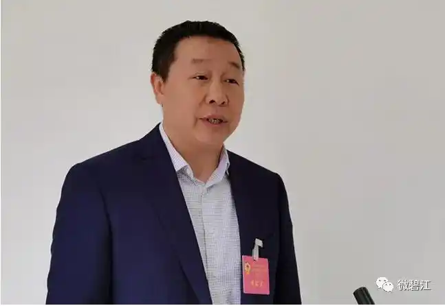 各代表团分组审议一府两院工作报告