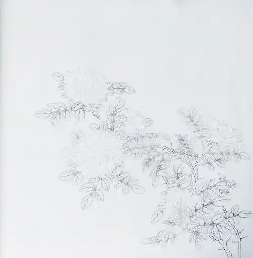 白蔷薇绘制步骤