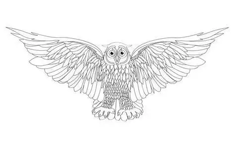 大型图形猫头鹰图片-大型图形猫头鹰素材-大型图形猫头鹰插画-摄图新