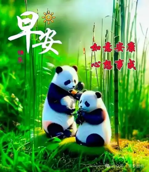 4月29日周一早安温馨图片 最新早安问候祝福语动态图片表情