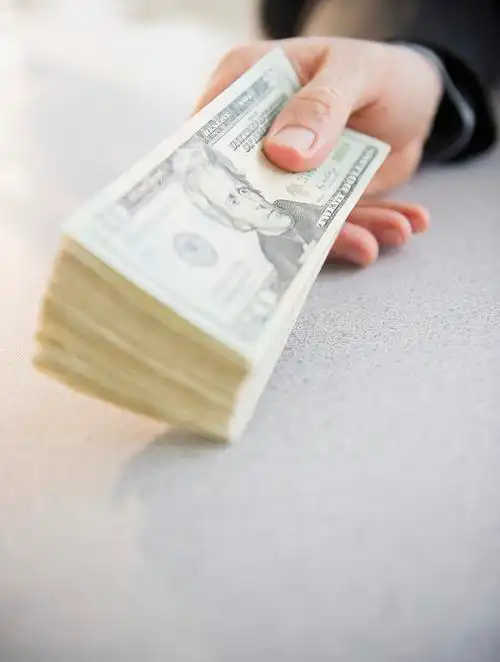 拿着钱的男人,特写图片