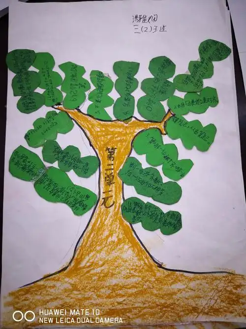 秀山二小三年级1,2班数学期末总复习,数学智慧树上硕果累累,大丰收啦!