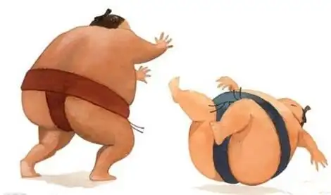 相扑界:横纲大关为何寿命短?